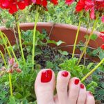 bestcreator nude leaks nudostar com 000