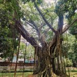 miss zelda nude leaks nudostar com 000