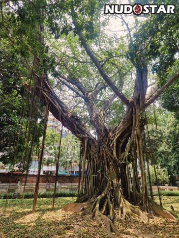 miss zelda nude leaks nudostar com 000